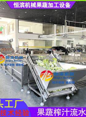 鲜材植物花叶榨汁生产线鲜果蓝莓青梅气泡清洗机大枣清洗机