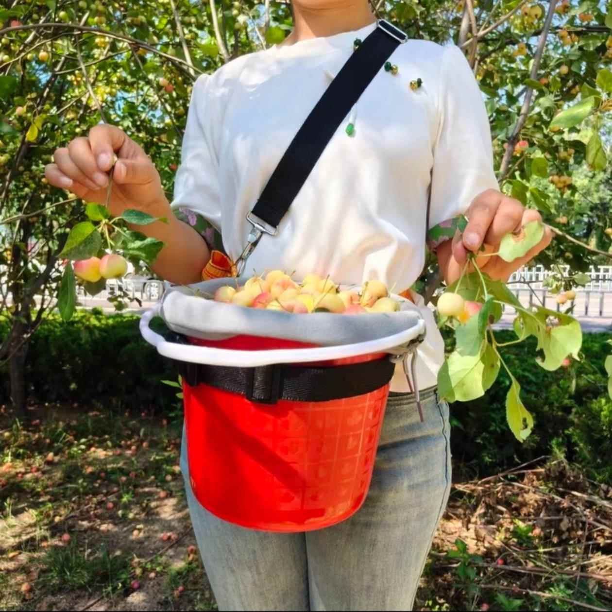 农用便携式摘果桶采摘软枣蓝莓樱桃工具采摘桶软装内衬采摘塑料桶