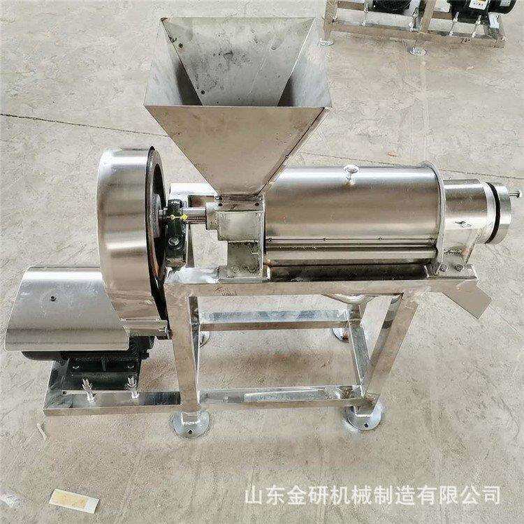 商用草莓蓝莓取汁机器大型果蔬榨汁机 胡萝卜草莓麦芽苗打汁机