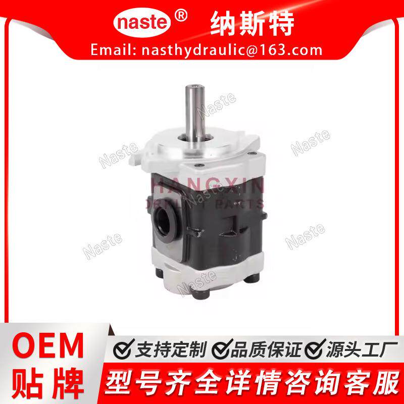 液压齿轮泵DSG05C20F9H9-R221C/Hangcha 3T Tram