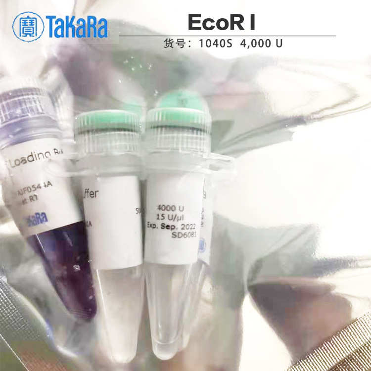 TAKARA宝生物 EcoR I内切酶 1040S 4000U 酶浓度15 U/μl