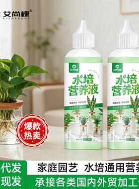 水培营养液 办公室盆栽 绿植迷你盆栽植物水培花肥养花通用富贵竹