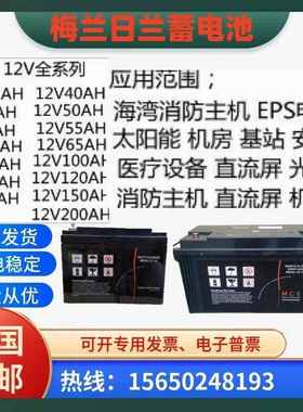 梅兰日兰施耐德蓄电池12V17A24A33A40A50A65A100A120A150A消防UPS