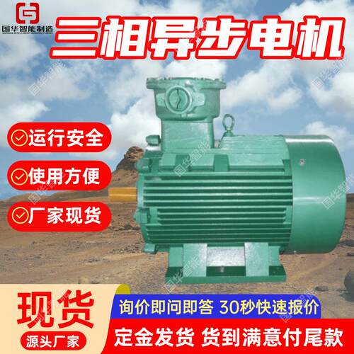 隔爆型三相异步电机 国华智能运行安全 YB2矿用防爆电机