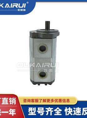 凯斯帕CASAPPA齿轮泵PLP20-4/6.3/7.2/8/9/10.5/11.2/14/16油泵