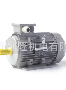 GMBH电机FCA6371