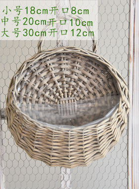 花篮挂墙花盆壁挂墙壁墙上花器吊兰垂吊形植物的花盆可壁挂式花盆