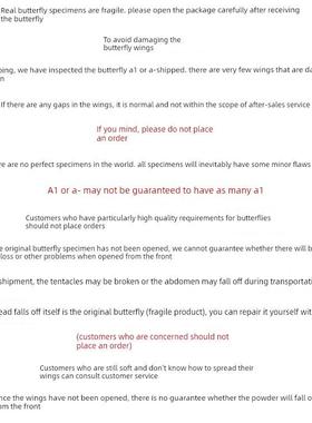 真正的蝴蝶原版蝴蝶没有翅膀优雅的灰色蝴蝶蝴蝶标本制作DIY手工