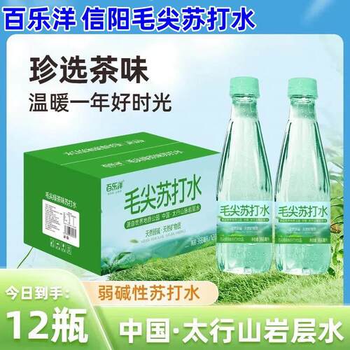 信阳毛尖苏打水366ml*12瓶百乐洋苏打水清爽解腻夏季饮品