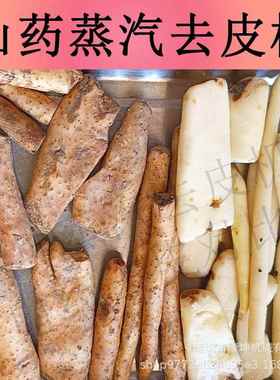 商用大山皮药削皮机 全自YEB动土豆型红薯脱机皮 西红柿物理蒸汽