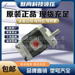 F36 REXPOWER锐力叉车液压泵SGP2A F40齿轮泵 F32 F25 F16 F20
