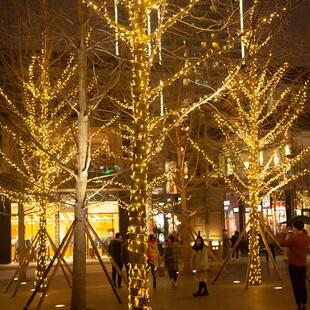 户外防水灯串LED彩灯气氛灯满天星绕树灯景观灯庭院氛围装饰灯串