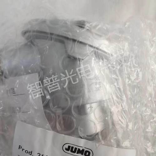 JUMO久茂铂热电阻一体化温度探头902810/13系列TN48456529