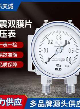 布莱迪耐震双膜片差压表YCAN-1500～16kPa2.5级M20X1.5径向表