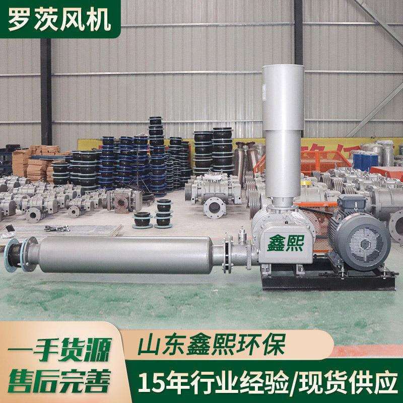 高压罗茨鼓风机低噪音污水处理水产养殖污水曝气罗茨鼓风机