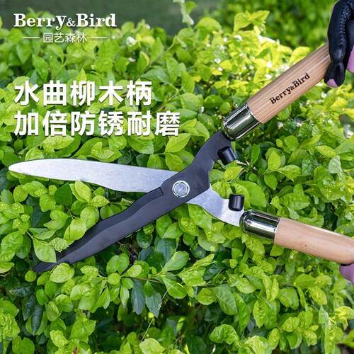 berry&bird园艺绿篱剪草坪修剪粗枝花艺果树大剪刀家用园林绿化带