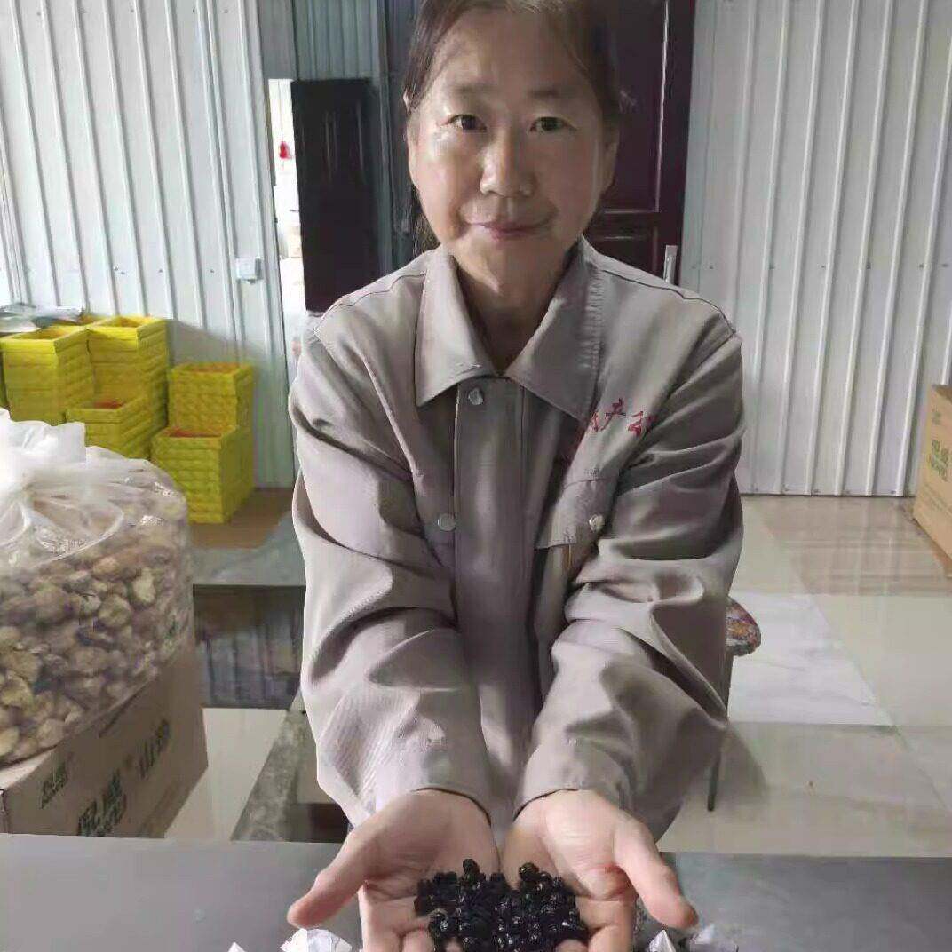 蓝莓干小兴安岭伊春特产蓝莓我母亲代言70g果干蜜饯新旧包装随机
