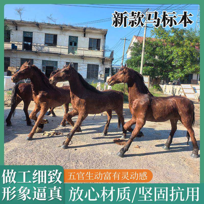 仿真动物马模型大型黑马白马户外庭院装饰摆件园林景观仿真马标本