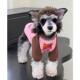 中小大型犬服装 宠物猫咪狗狗衣服 秋冬加绒纯棉潮牌圆领小猫卫衣