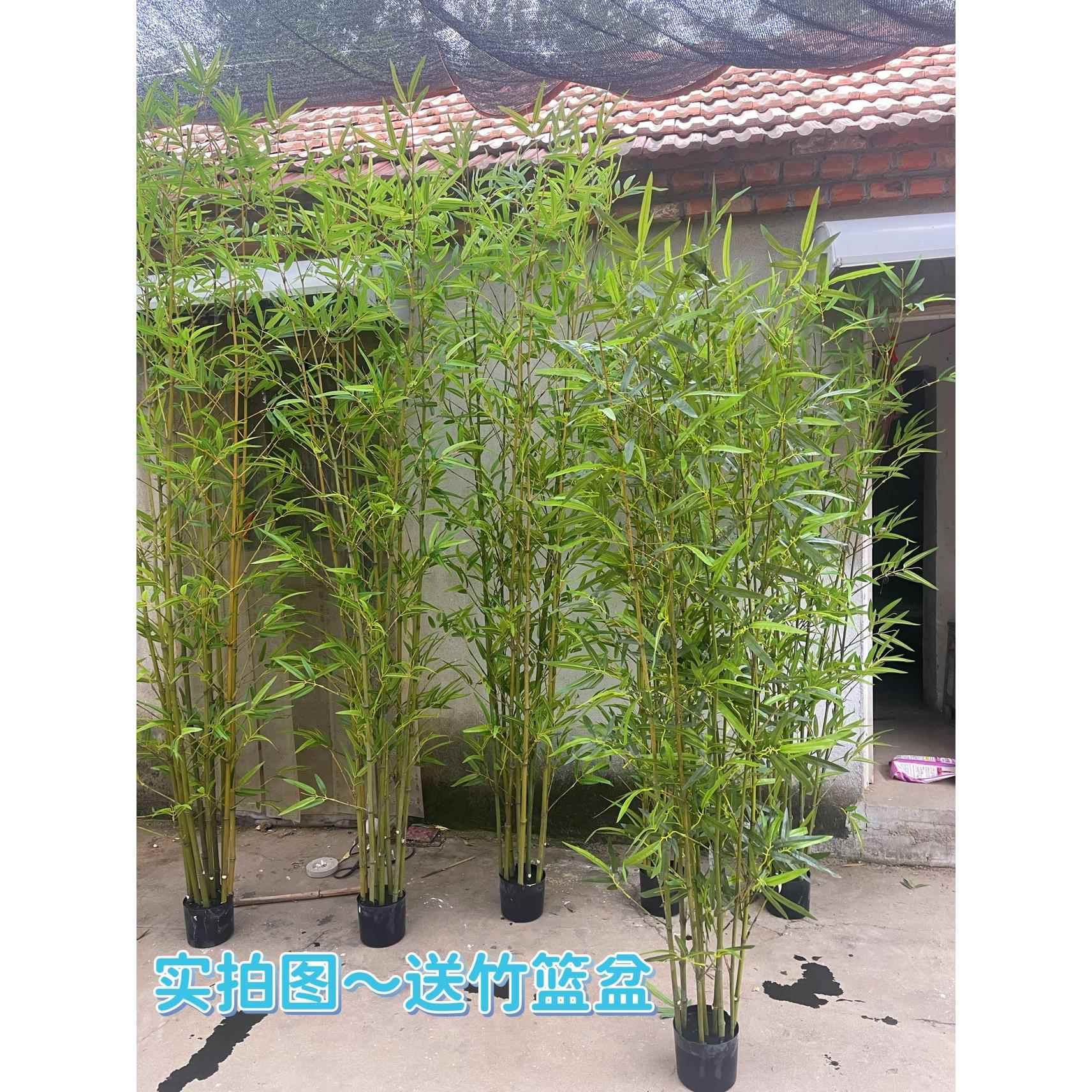 仿真竹子室内装饰假竹子隔断屏风挡墙订婚宴席装饰竹盆栽加密绿植
