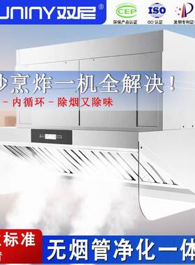 双尼油烟净化一体机无烟管内循环饭店厨房学校食堂商用抽油烟机