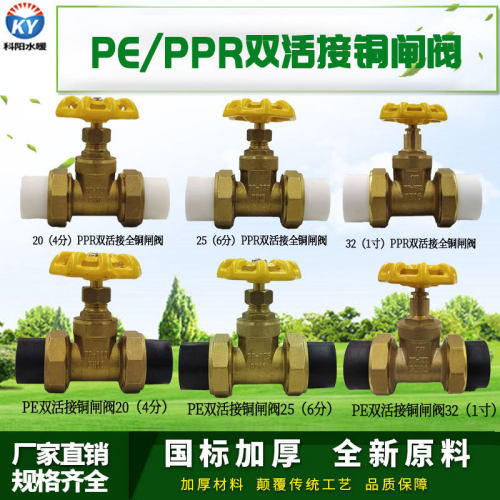 PPR铜闸阀 PPR阀门双头活接铜球截止阀门20 4分PPR水管管件配件