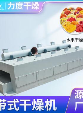 烘定 制连续农层带式干燥机大型食品CIH副产多品化工业网带干设备