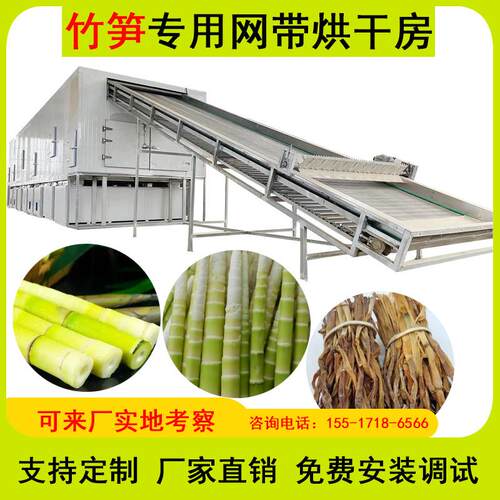 网带式青竹笋烘干机笋尖竹萌春笋生笋烘干设备竹笋干干货全自动