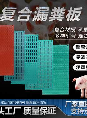 猪用漏粪板母猪产床定位栏覆合漏缝板养殖猪场分娩床小猪保育床板
