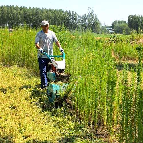 加宽割幅80CM自走式碎草还田机 不怕高草柴油灭草机 果园割草机
