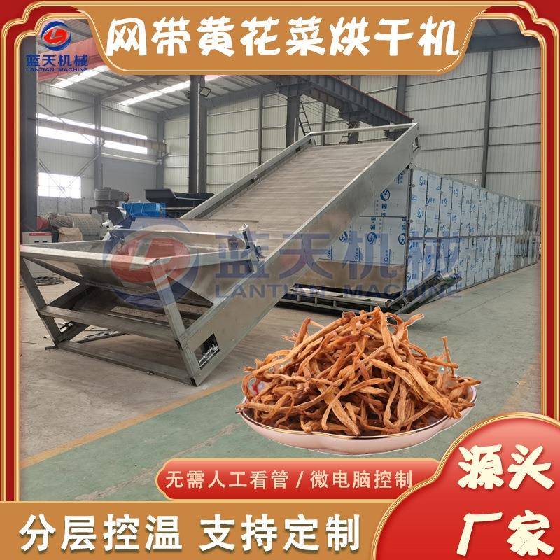 大型黄花菜烘干机链条式黄花菜杀青烘干设备金针菜忘忧草干燥机