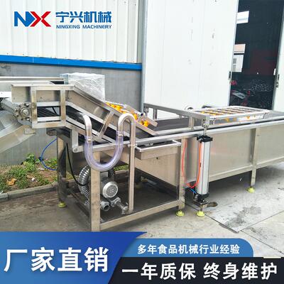 全自动气泡清去洗 果蔬海产海鲜泥厨沙机洗菜设备 中央房洗PWR菜