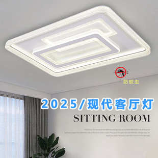 防蚊虫客厅灯护眼家用吸顶灯智能离线语音长方形大厅灯具 2025新款
