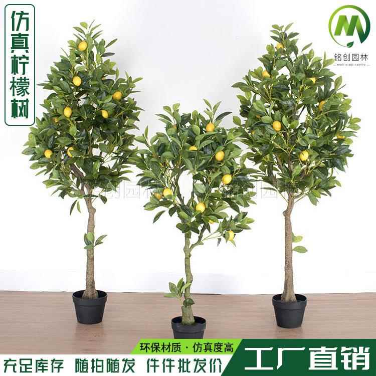 仿真柠檬树绿植盆栽 仿真橘子树盆景 室内装饰大型假绿植盆景