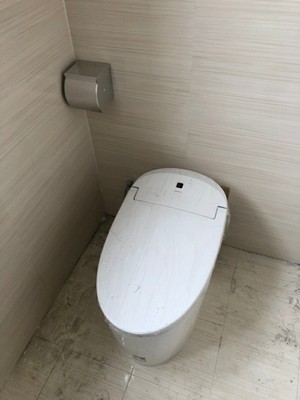 九牧智能水箱全自动即热式坐便器怎么样？是哪里牌子？有何缺点？