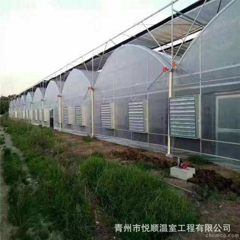 PO膜智能温室薄膜连动温室大棚种植养殖大棚连动双拱双膜温室配件