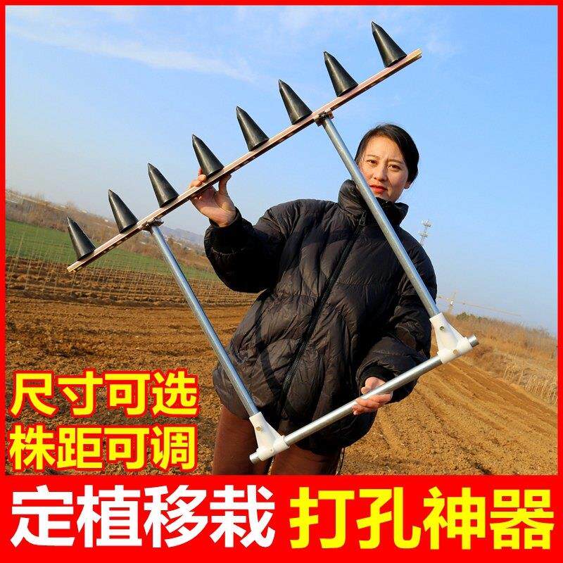 种草莓神器栽苗打孔器定植打眼机移栽打坑泥土挖坑花生播种撒饵器