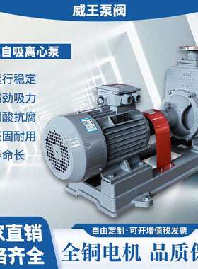 工厂直销不锈钢排污自吸泵100ZX70-75，机械密封不阻塞自吸泵