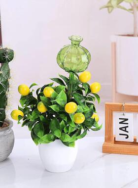 3/6Pcs Plant Self Watering Globes Automatic Plant Water Feed