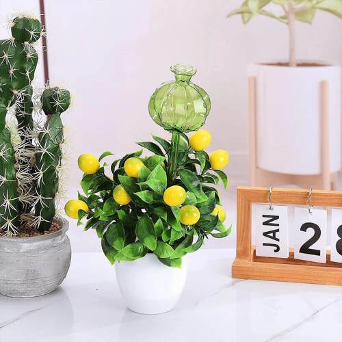 3/6Pcs Plant Self Watering Globes Automatic Plant Water Feed - 封面