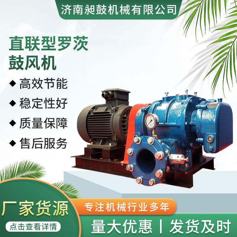 直联型罗茨鼓风机 防爆工业鼓风机 鱼塘增氧机 高压风机增压泵