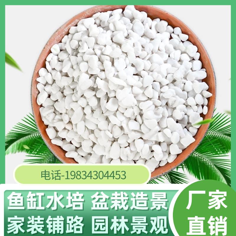 天然白色雨花石鹅卵石多肉盆栽铺面小白石子鱼缸造景铺路装饰吉林