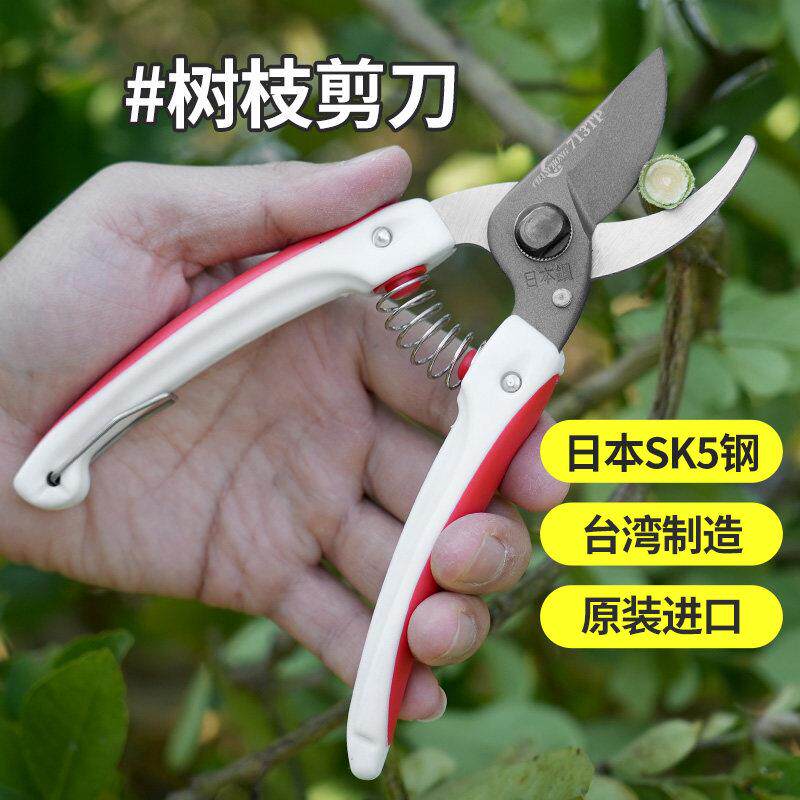 蟾虫713TP果树剪家用园林园艺果园修枝剪锋利省力耐用剪刀树枝剪