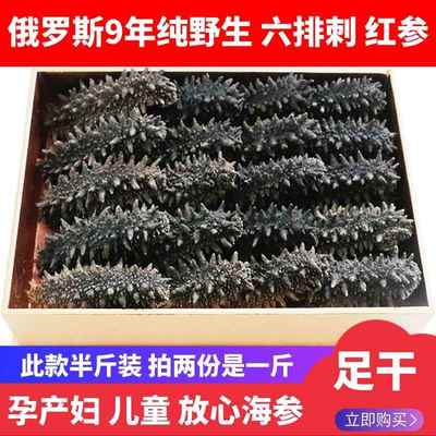 10年俄罗斯纯野生海参干货 红参非大连即食国标孕妇海生淡干刺参