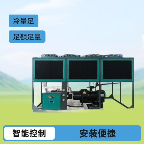 厂家供应风冷螺杆式冷水机工业设备风冷式制冷机冰水机包送货