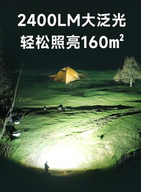 LEM 户外露营灯充电超长续航太阳能应急灯家用停电备用照明灯