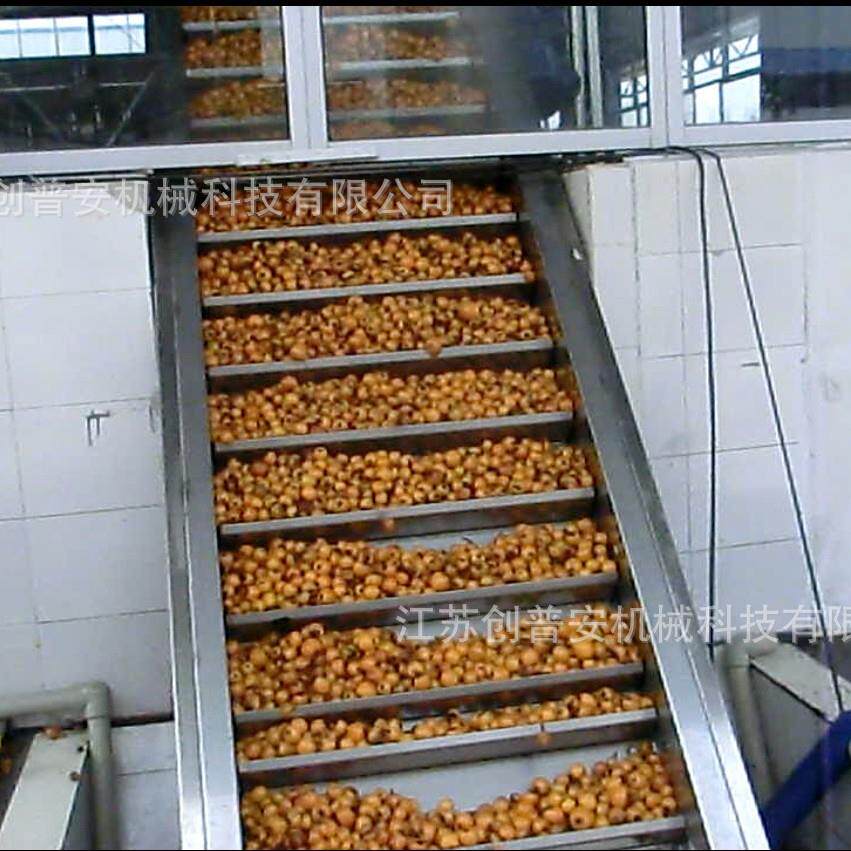 沙棘汁原浆调配果汁生产线生产加工设备