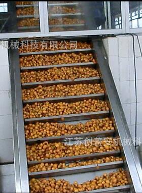 沙棘汁原浆调配果汁生产线生产加工设备