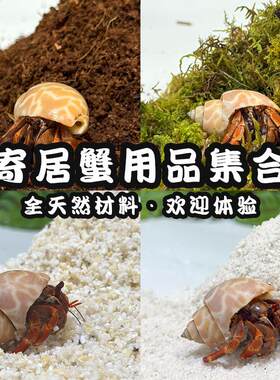 寄居蟹专用沙垫材菲律宾沙珊瑚沙饲养全套用品寄居蟹专用椰土苔藓