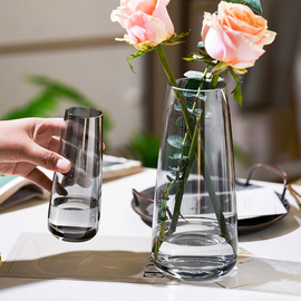 现代简约北欧式玻璃花瓶客厅，ins风透明水养，插花小花瓶高级感摆件